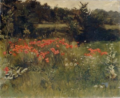 Poppies, Reigate by Sarah Paxton Ball Dodson