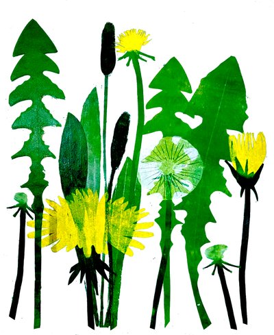 Dandelions by Sarah Thompson Engels