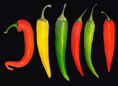 Five Chillies, 2024 by Sarah Thompson Engels