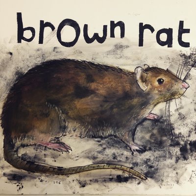Brown Rat, 2021 by Sarah Thompson Engels