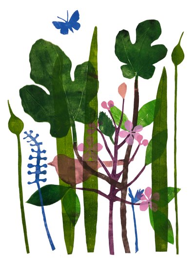 Fig Leaves by Sarah Thompson Engels