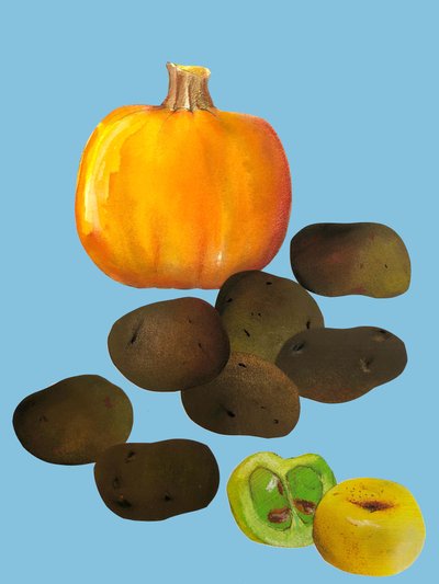 Fruit & veggies vegetables, 2020 by Sarah Thompson Engels