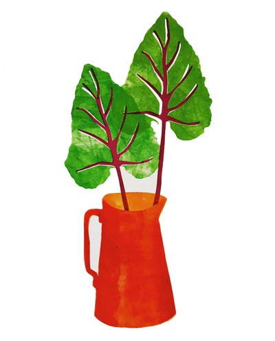Red Jug by Sarah Thompson Engels