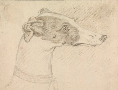 Head Portrait of Greyhound by Sawrey Gilpin