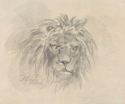 Head of a Lion by Sawrey Gilpin