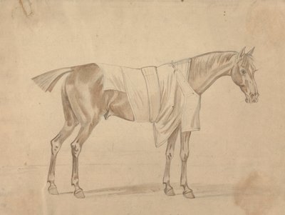 Horse Dressed in Blanket by Sawrey Gilpin
