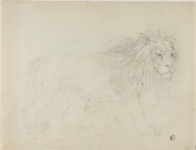 Lion by Sawrey Gilpin