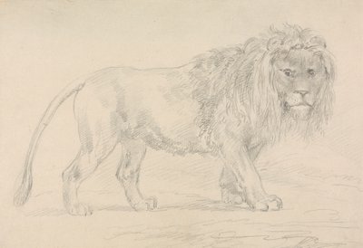 Lion Walking by Sawrey Gilpin
