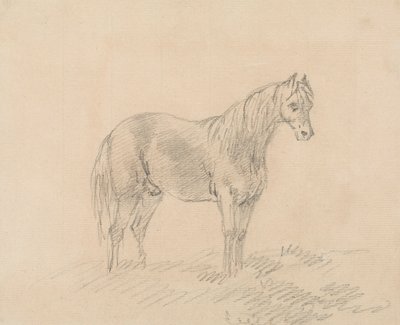 Male Horse by Sawrey Gilpin