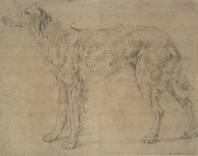 Sporting Dog by Sawrey Gilpin