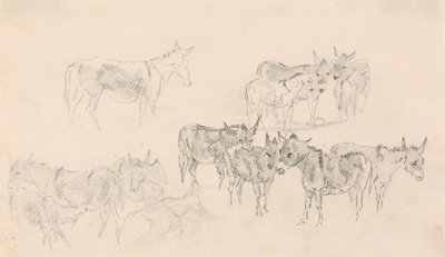 Studies of Donkeys by Sawrey Gilpin