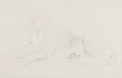 Study of a Lion by Sawrey Gilpin