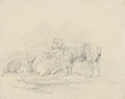 Three Sheep by Sawrey Gilpin
