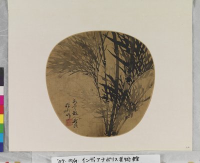 Bamboo by School Chinese