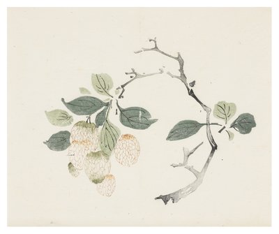 Ten Bamboo Series by School Chinese