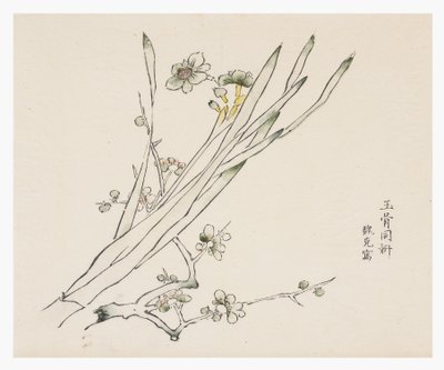 Ten Bamboo Series by School Chinese