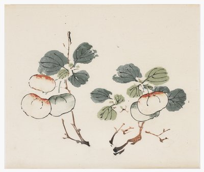 Ten Bamboo Series by School Chinese
