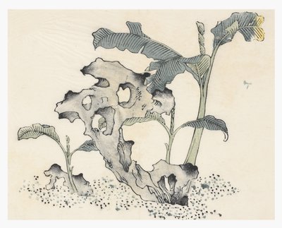 Ten Bamboo Series by School Chinese