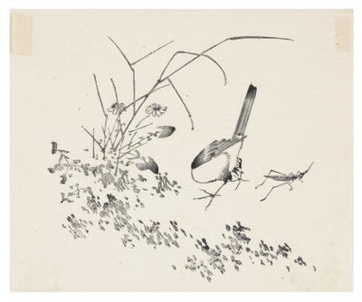 Ten Bamboo Series by School Chinese