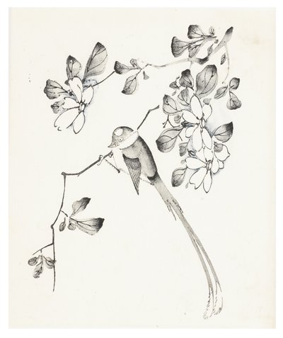 Ten Bamboo Series by School Chinese