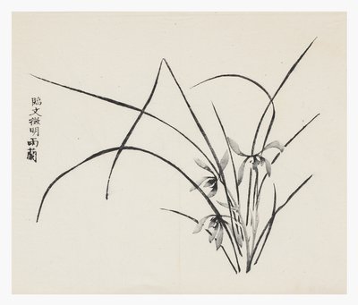 Ten Bamboo Series by School Chinese