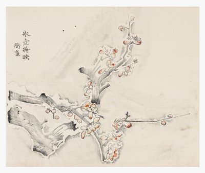 Ten Bamboo Series by School Chinese