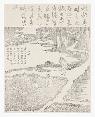 Working in the Paddy by School Chinese