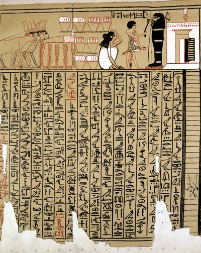 Egyptian Hieroglyphs by School Egyptian