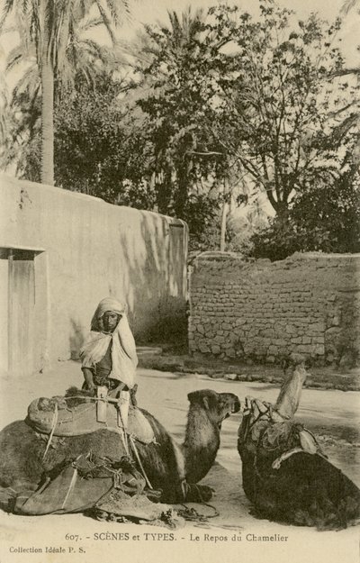 Le Repos du Chamelier, c.1890-1914 by School French