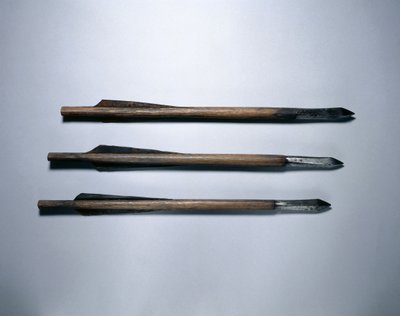 Crossbow Bolts by School German