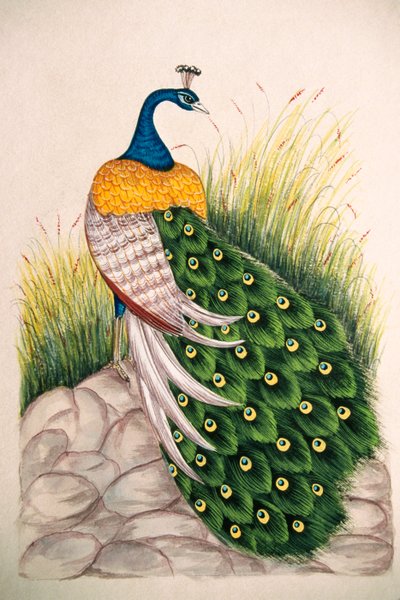 Miniature Painting on Silk Peacock by School Indian