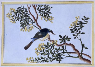Bird - Japanese Print by Japanese School