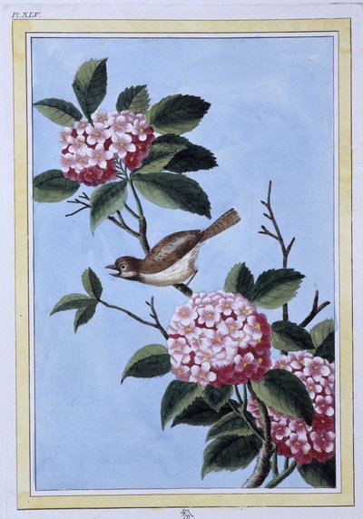 Bird - Japanese print by Japanese School