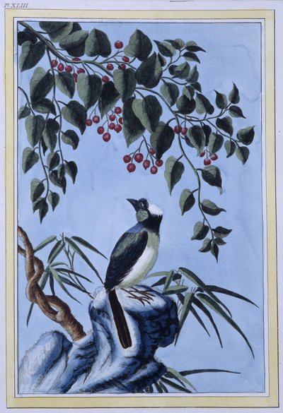 Bird - Japanese print by Japanese School