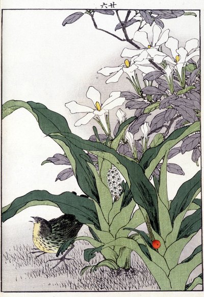Bird in the flowers - Japanese print by Japanese School