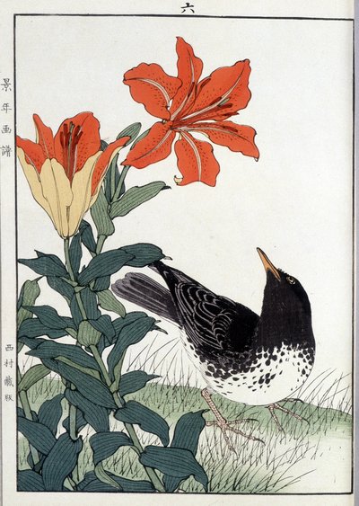 Blackbird and lily flowers - Japanese print by Japanese School