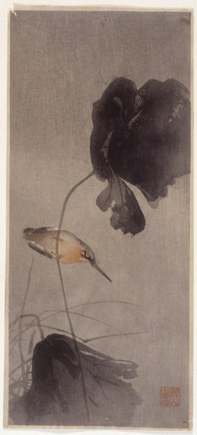 Kingfisher by School Japanese
