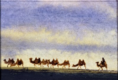 Camel Herd, Mongolia by School Mongolian