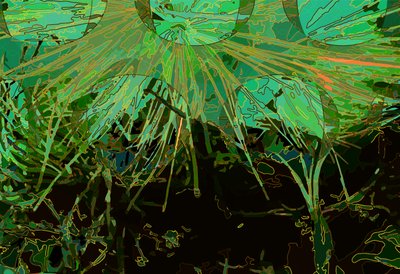 Artichoke_abst_horz2 by Scott J. Davis