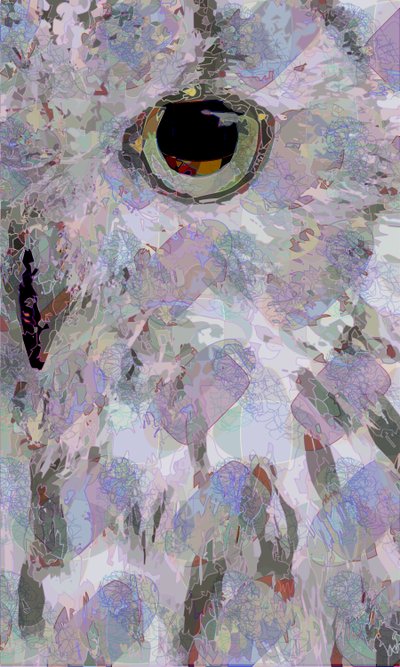 Owl3 by Scott J. Davis