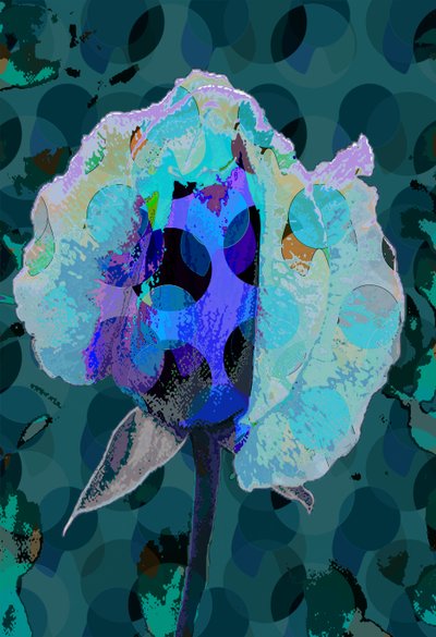 Tea Rose 5B by Scott J. Davis