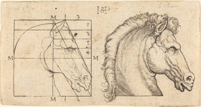 Two Horse Heads by Sebald Beham