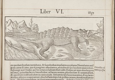 Cosmographia, Fol 1137, 1544 by Sebastian Munster