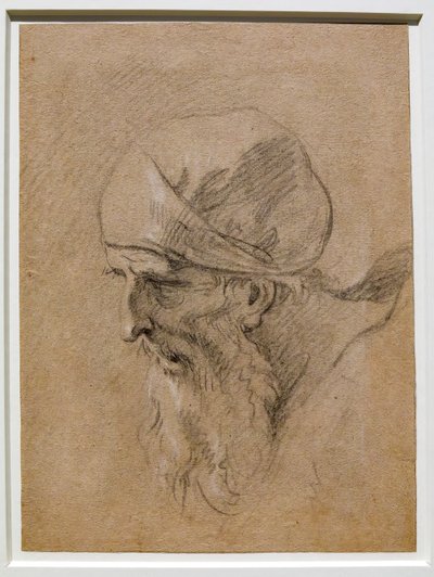 Head of an Old Man by Sebastiano Ricci