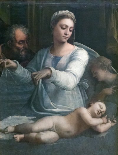 Madonna del Velo by Sebastiano del (c.1485 1547) Piombo