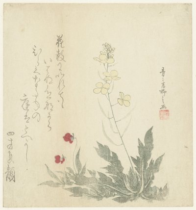 Flowering Plants by Seiseikyo Ryûshi