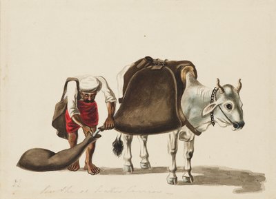 Water-carrier, c1810 by Sewak Ram