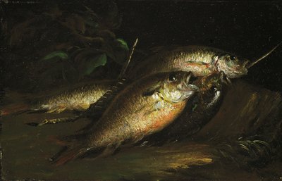 Fish, 1842 by Shepard Alonzo Mount