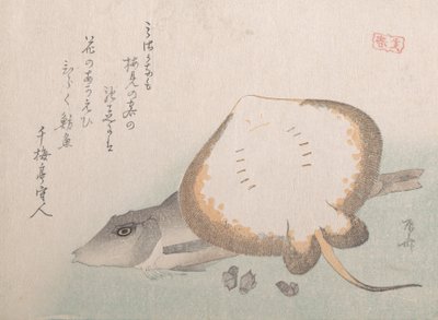 Stingray and Gurnard by Shinsai