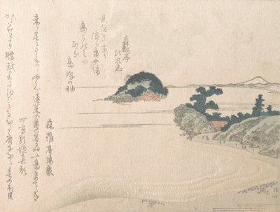 Turtle Island and Fujiyama by Shinsai